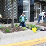A Time to Help Beautifies Park & Planters in Hamtramck 4