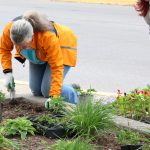 A Time to Help Beautifies Park & Planters in Hamtramck 5