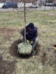 ATTH Tree Planting