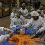 Breaking Records, Helping Others at Gleaners 7
