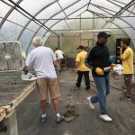 Urban farm yields bountiful time for ATTH volunteers 8