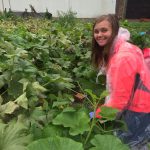 Urban farm yields bountiful time for ATTH volunteers 9